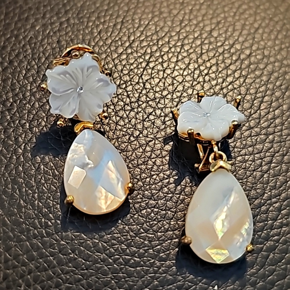 Earrings - clip